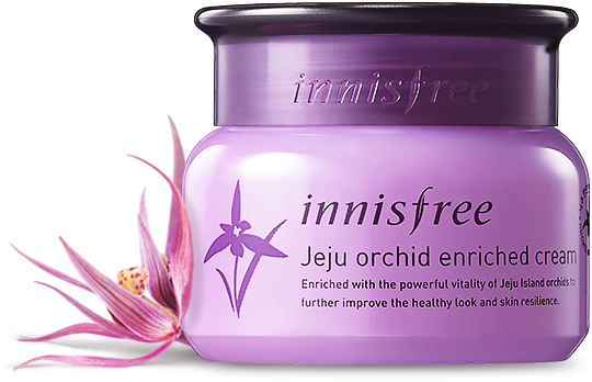 Innisfree Jeju Orchid Enriched Cream 50ml,Innisfree,Innisfree Jeju,Jeju Orchid Enriched Cream,jeju orchid enriched cream รีวิว,innisfree thailand,innisfree shop